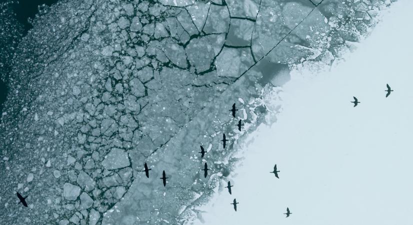 Az ország északkeleti részén olyan hideg van, mint egy fagyasztóban