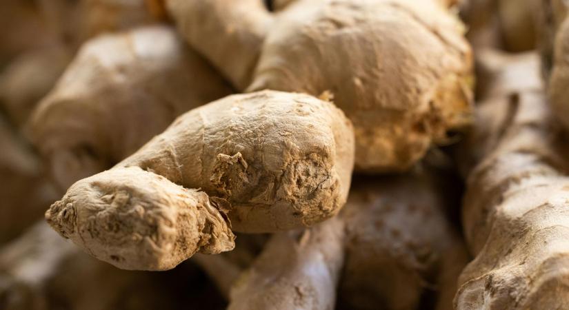 A gyömbér lett a 2026-os év gyógynövénye