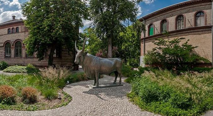 Politikamentes diplomaosztót szeretnének az Állatorvostudományi Egyetemen hallgatói