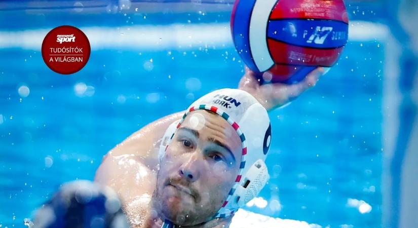 Nagy Ádám: Jó ez a szerb csapat, de ma kettővel többen voltak, és ez a világ szégyene