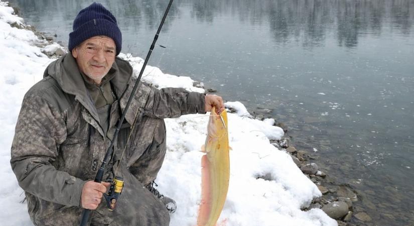 Ilyet még nem látott! Albínó harcsát fogtak a Drávában