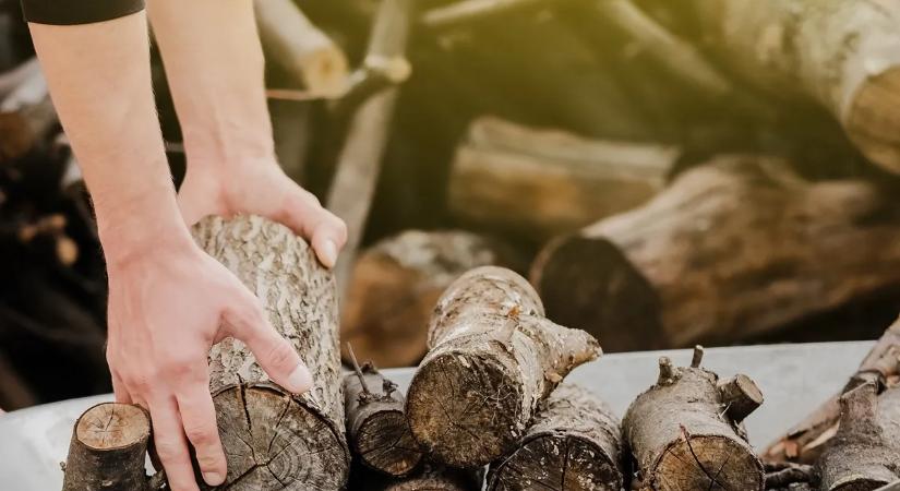 Hihetetlen csalásokba futhatsz bele, ha online vásárolsz tűzifát