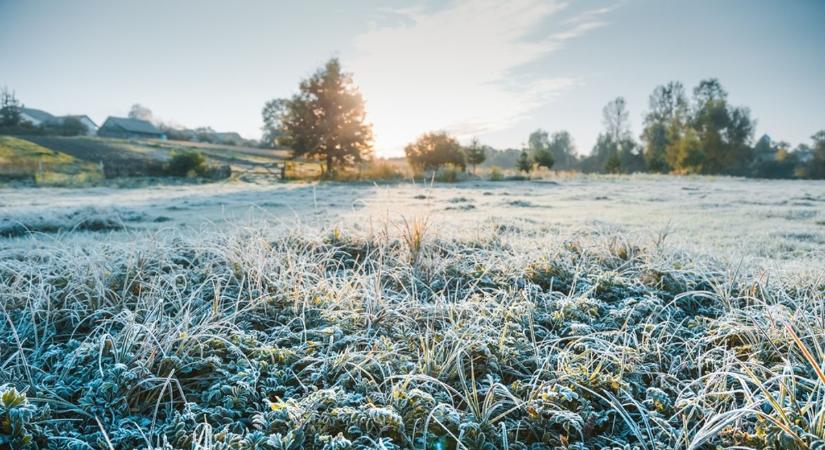 Mit hozhat nekünk a Piroska napi népi jóslat?