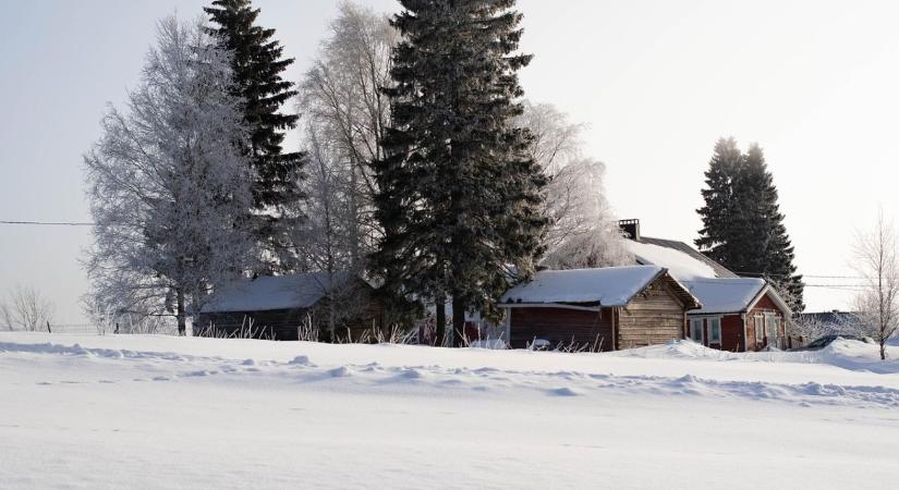 Természetes növényvédelem: így segít a hideg tél