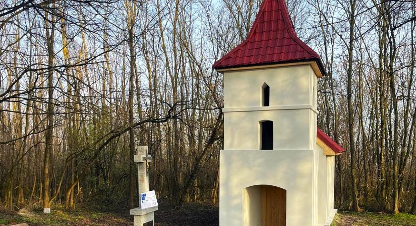 Az ipolyviski kutyika története