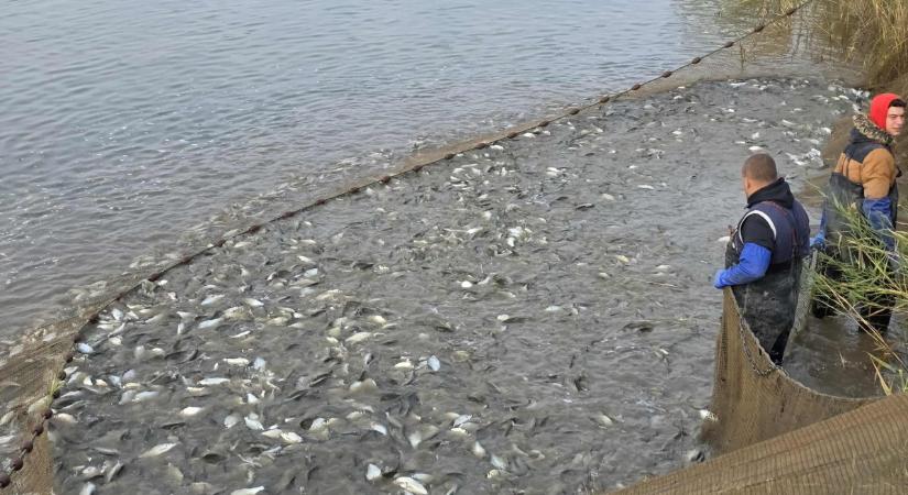 Új szakasszal bővültek a horgászható vizek Hajdú-Biharban