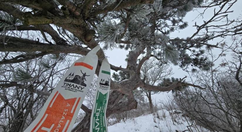 Meghalt egy futó a Tihany Trail hétvégi versenyén