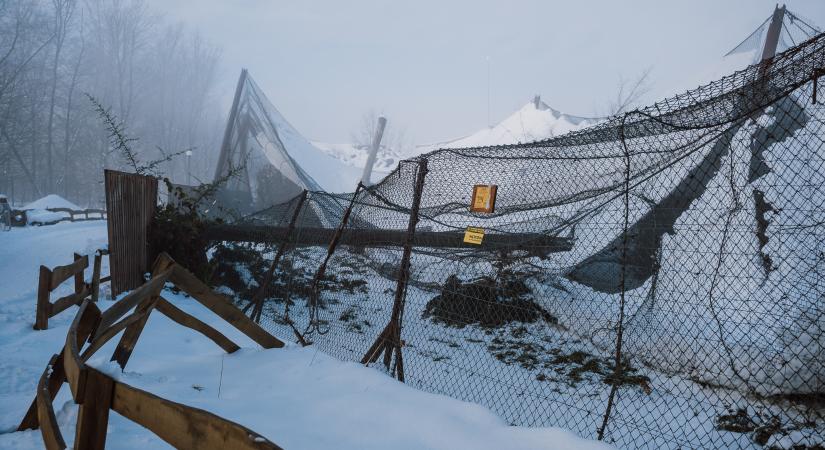 A hó súlya alatt beszakadt a Zöld Ház teteje a marosvásárhelyi állatkertben (VIDEÓ)