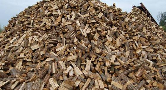 Se híre, se hamva az Orbán által beígért tüzifának Olaszliszkán