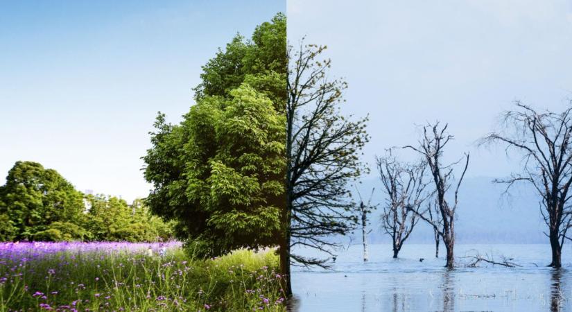 Időjárás 2026: hogyan tervezz gazdaként bizonytalan szezonra?