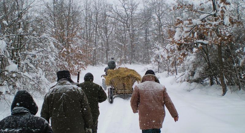 Kihívás a hó miatt a vadon élő állatok kiegészítő táplálása – Szekérrel juttatják ki az eledelt