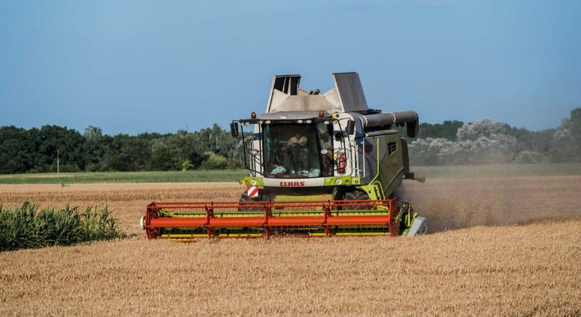 Magyar Péter nagyüzemi agrárpolitikusa szerint a magyar gazdák hibája az ukrán gabonaválság