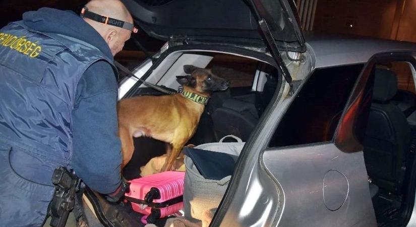 Elképesztő: plüssnyusziba és cigibe rejtették a drogot Győrben - fotók, videó