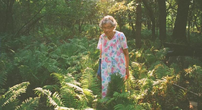 Tapasztalat és emlékezet, avagy ilyen az, amikor hirtelen kiderül, hogy a nők gondoskodó munkája a működtető erő