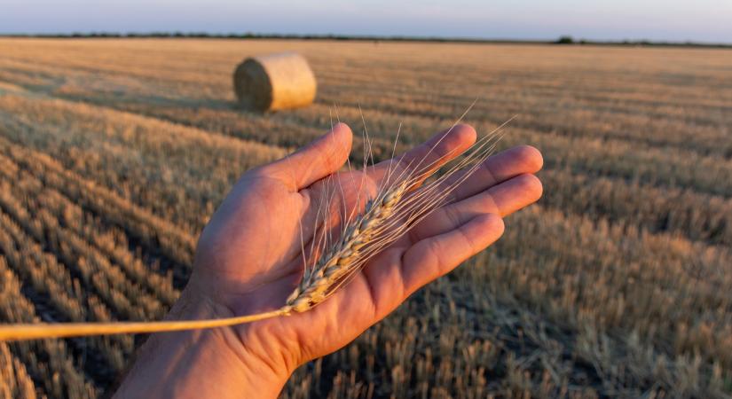 Fontos céget vásárol fel a BASF – erősödik a biológiai növényvédelem szerepe