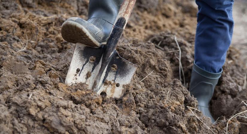 Kiderült, valóban drogot ástak-e el fiatalok a fehérvári városrészben (videó)