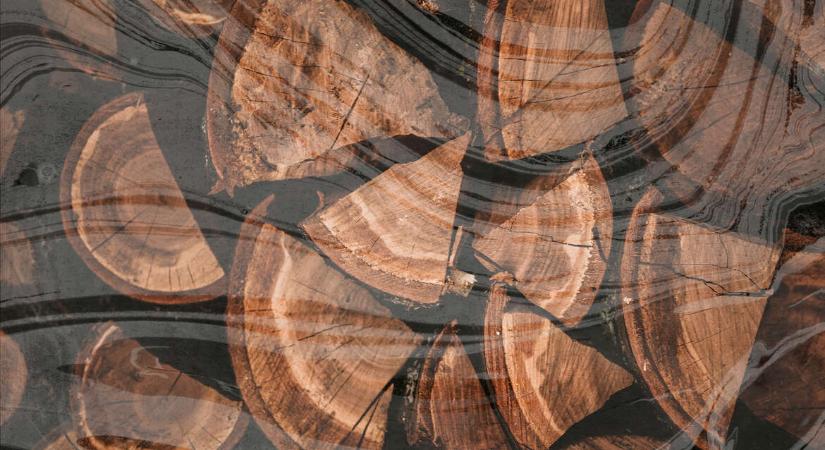 Elfogyott a tűzifa, az ígért segítség még sehol – Tarthatatlan a fűtéshelyzet Olaszliszkán