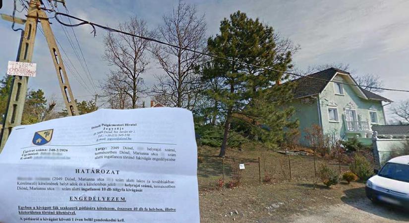 Balhé Diósdon: Egy építkezés miatt fákat vágnak ki, az engedély nem érdekli a dühös helyieket, a tulaj magyarázkodik