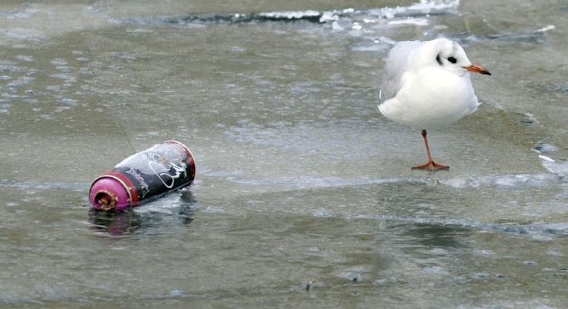 Hátborzongató jelenet: két lány alatt beszakadt a jég az Ipolyon