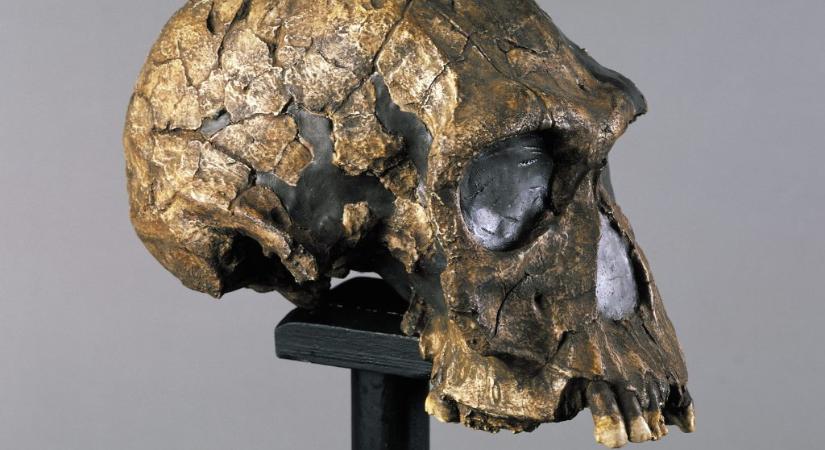 Új részletek derültek ki a világ első embereiről