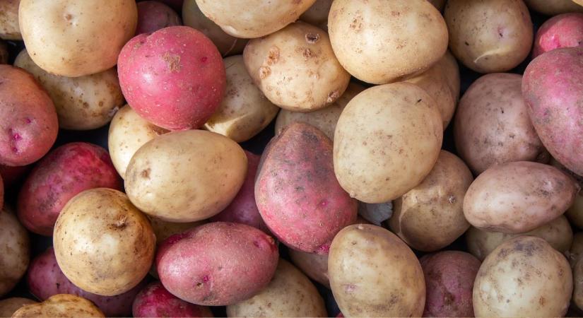 Elképesztő átlagár: 37 forintot kérnek a burgonya kilójáért