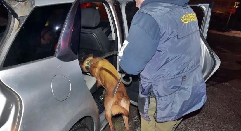 A rendőrkutya rávetette magát egy plüssnyuszira a közúti igazoltatás során – videó