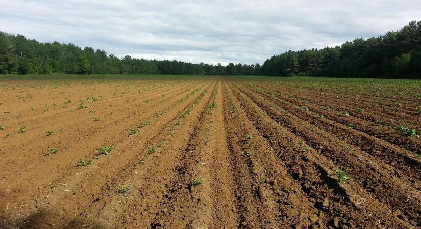 Új év, új vetésterv: hogyan számolj reálisan inputanyaggal?