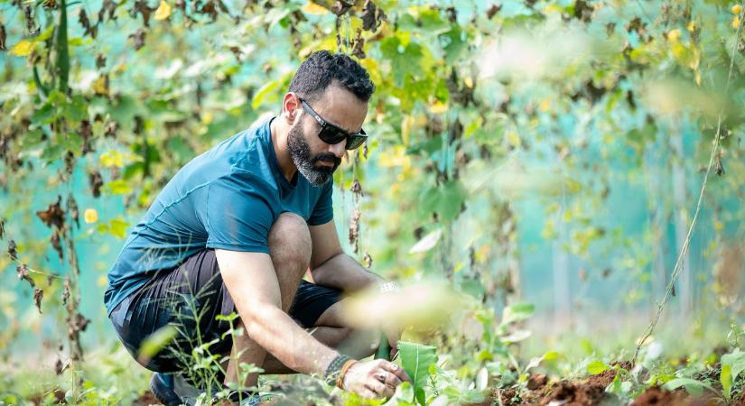 Holnap jár le a határidő az őstermelőknek