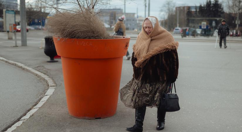 Farkasordító hidegre kell számítani Kelet-Szlovákia több járásában
