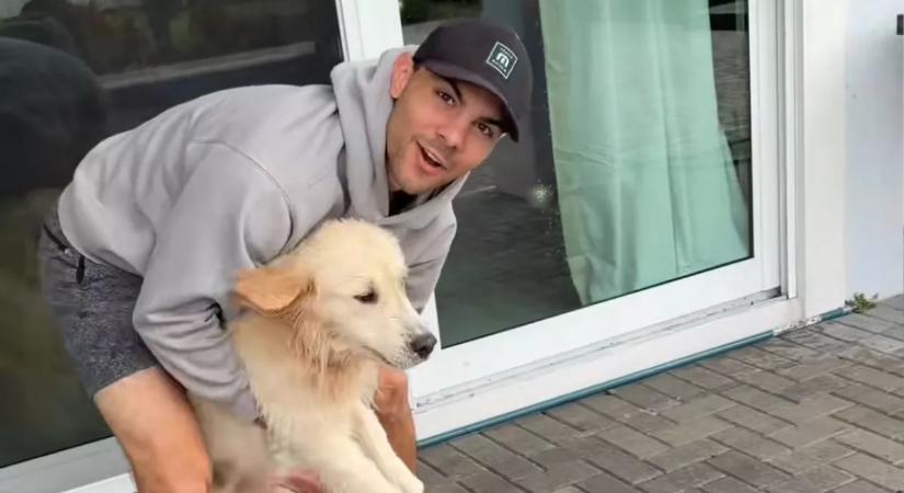 Ki akarja hozni a golden retrievert a medencéből Emma férje: ami ezután történik, azon milliók nevetnek