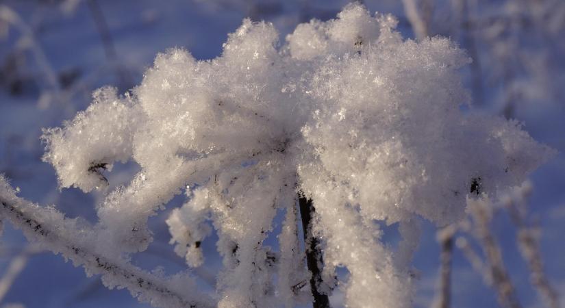Hol bukkanhatnak fel a NAV revizorai a tél leghidegebb napjaiban?