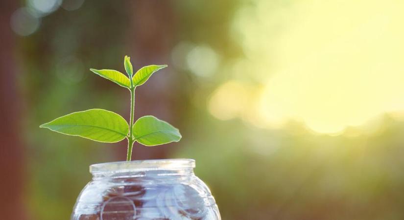 Jobb éve lehet a gazdaságnak, mint várták?