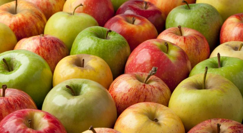 Dugig vannak az európai tárolók: mi lesz ezzel a rengeteg almával?