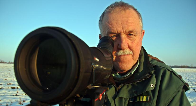 Zalában ritkaságnak számító madár bukkant fel a hétvégén