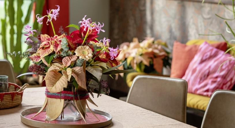 Így dekorálhatsz mikulásvirággal egész télen – inspiráló fotókat mutatunk