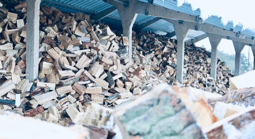 Több mint 400 szolnoki család kap tűzifát a téli hidegben