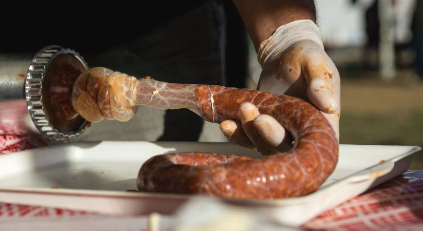 Kihagyhatatlan fesztivál lesz Fejér megyében