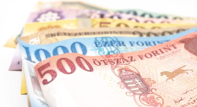 A Fidesz–KDNP-közeli szervezetek aratnak a Nemzeti Együttműködési Alap pályázatain