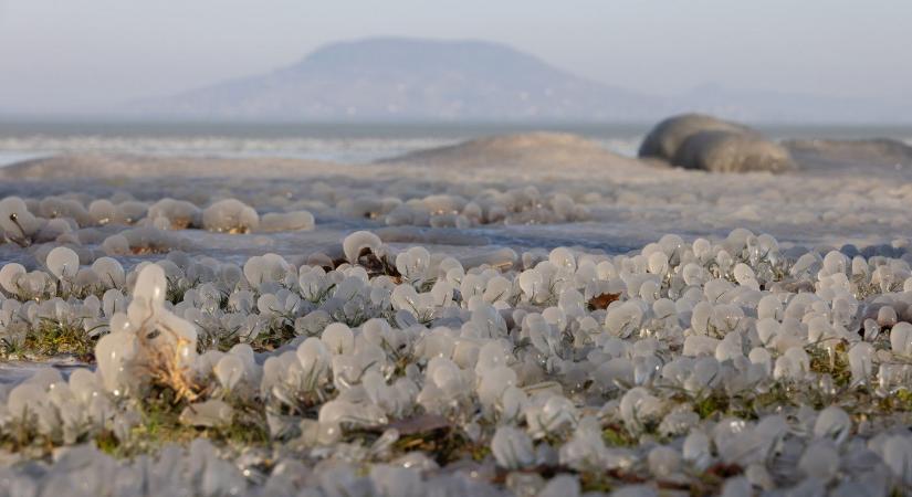 Irtózatos, ami megjelent a Balaton jegén, a veszély komoly, már ki is adták a figyelmeztetést