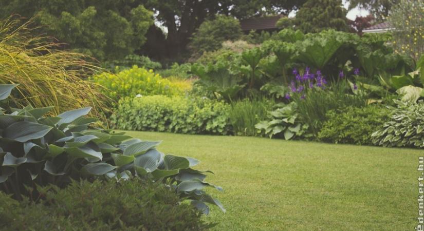 Elrejtőznél a világ elől? Így teremts mesebeli angolkertet!