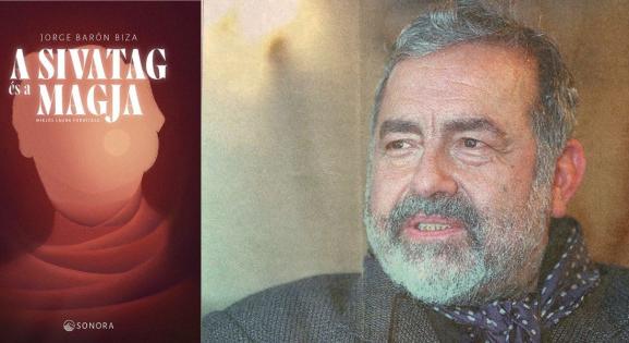 A szépséget kereste, de csak a sósavval leöntött anyja arca nézett vissza rá