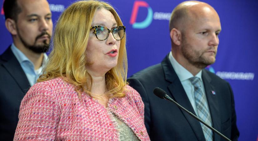 Őrizetbe vette a rendőrség a szlovák Kalózpárt elnökét