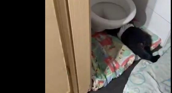 Két csecsemő meghalt egy engedély nélküli jeruzsálemi bölcsődében; három gondozót őrizetbe vettek