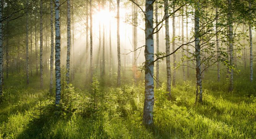 Itt az agrártárca terve a földminősítésről: készül a javaslat, ez várhat ránk