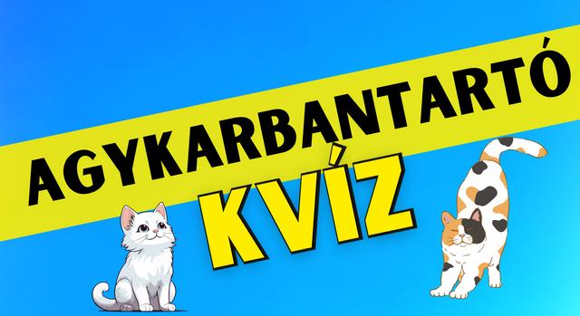 Napi agykarbantartó feladat: Vörös vagy fekete-fehér? Teszteld a memóriád!