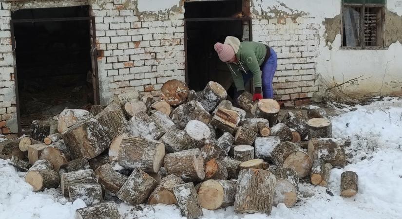 Tűzoltók gyűjtik szabadnapjukon, fideszes képviselők meg kampányolnak az ingyen tűzifával