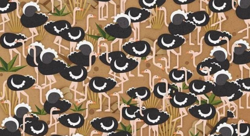 Csak egy zseni tudja megtalálni az elrejtett esernyőt ezen a képen 11 másodperc alatt