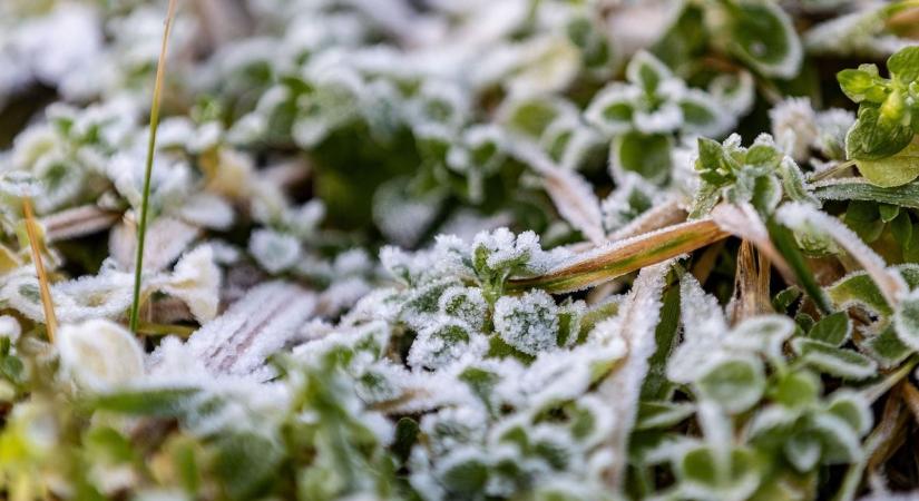 Köd, zúzmara és extrém fagy a térségben, de a nap is előbújhat: ilyen lesz a keddi időjárás