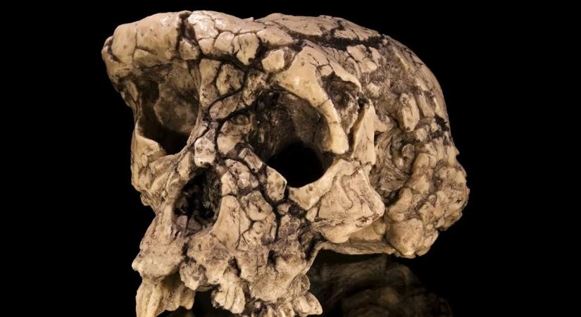 Óriási tévedésben lehettünk eddig? Kiderült az igazság az emberiség eredetéről