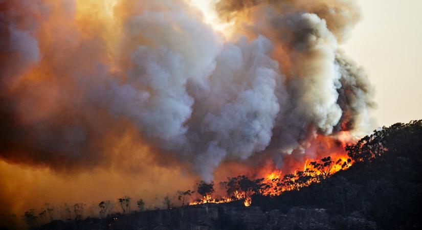 Nyakig vagyunk a klímakatasztrófában, lesújtó adatokat közöltek a kutatók az éghajlatváltozásról